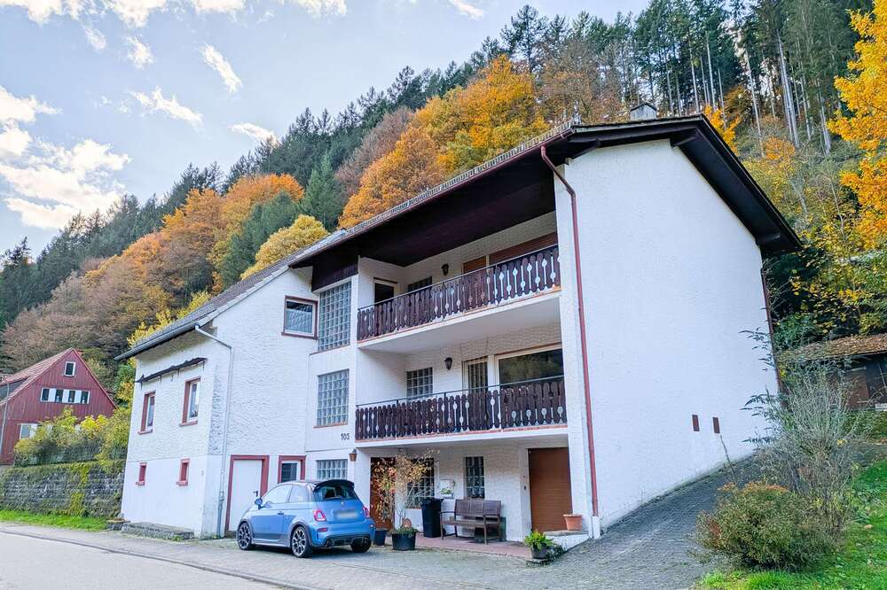 Thumbnail-Haus zum Kaufen in Oberzent 249.000,00 € 212 m²