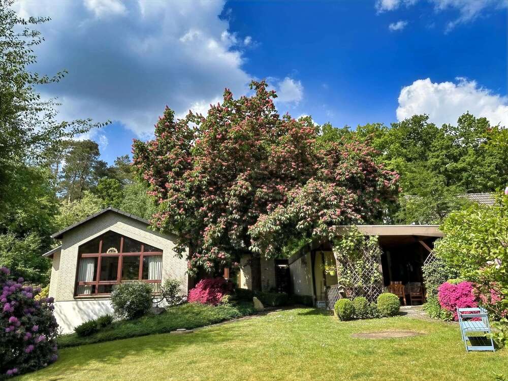 Thumbnail-Haus zum Kaufen in Buchholz 540.000,00 € 132 m²