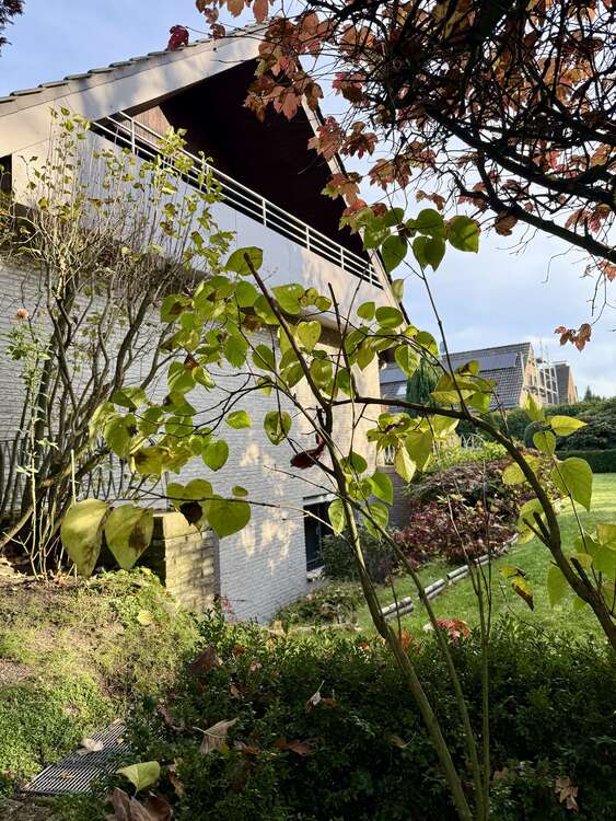 Thumbnail-Haus zum Kaufen in Dülmen 599.000,00 € 307 m²