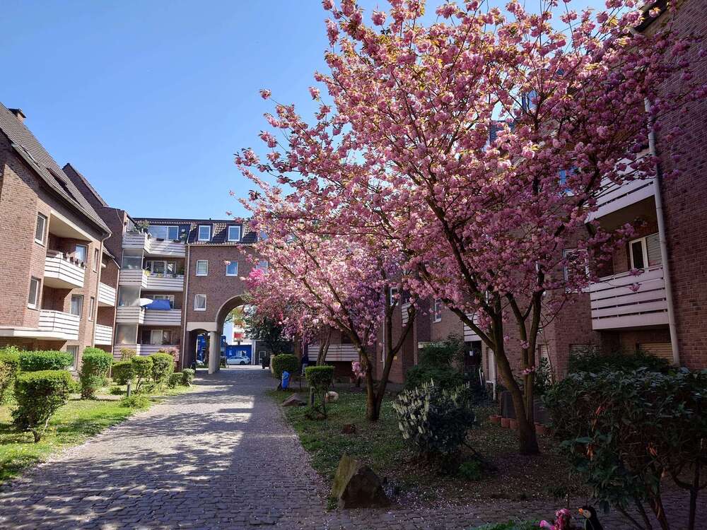 Thumbnail-Wohnung zum Mieten in Bonn 704,00 € 48.53 m²