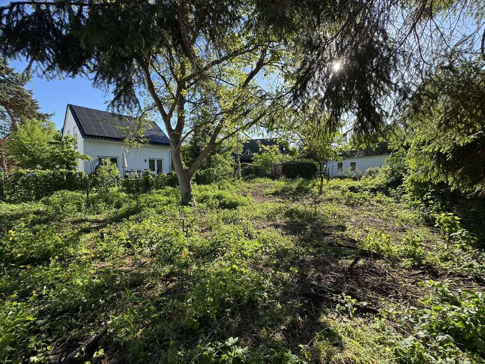 Thumbnail-Grundstück zu verkaufen in Berlin 330.000,00 € 523 m²