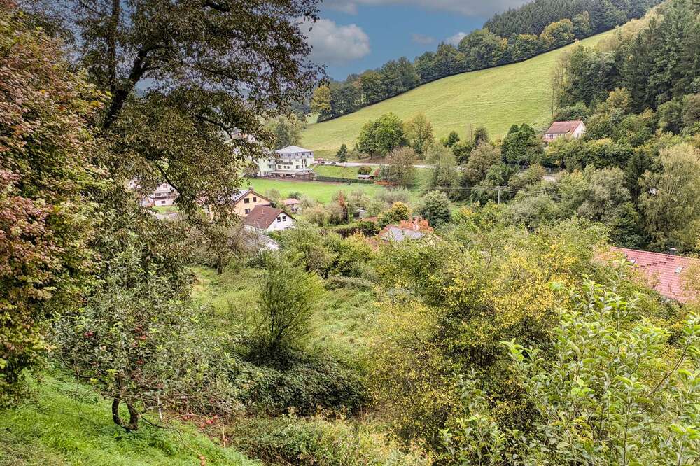 Thumbnail-Grundstück zu verkaufen in Oberzent 49.500,00 € 1031 m²