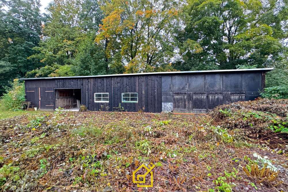 Thumbnail-Grundstück in Lößnitz 49.500,00 € 1240 m²