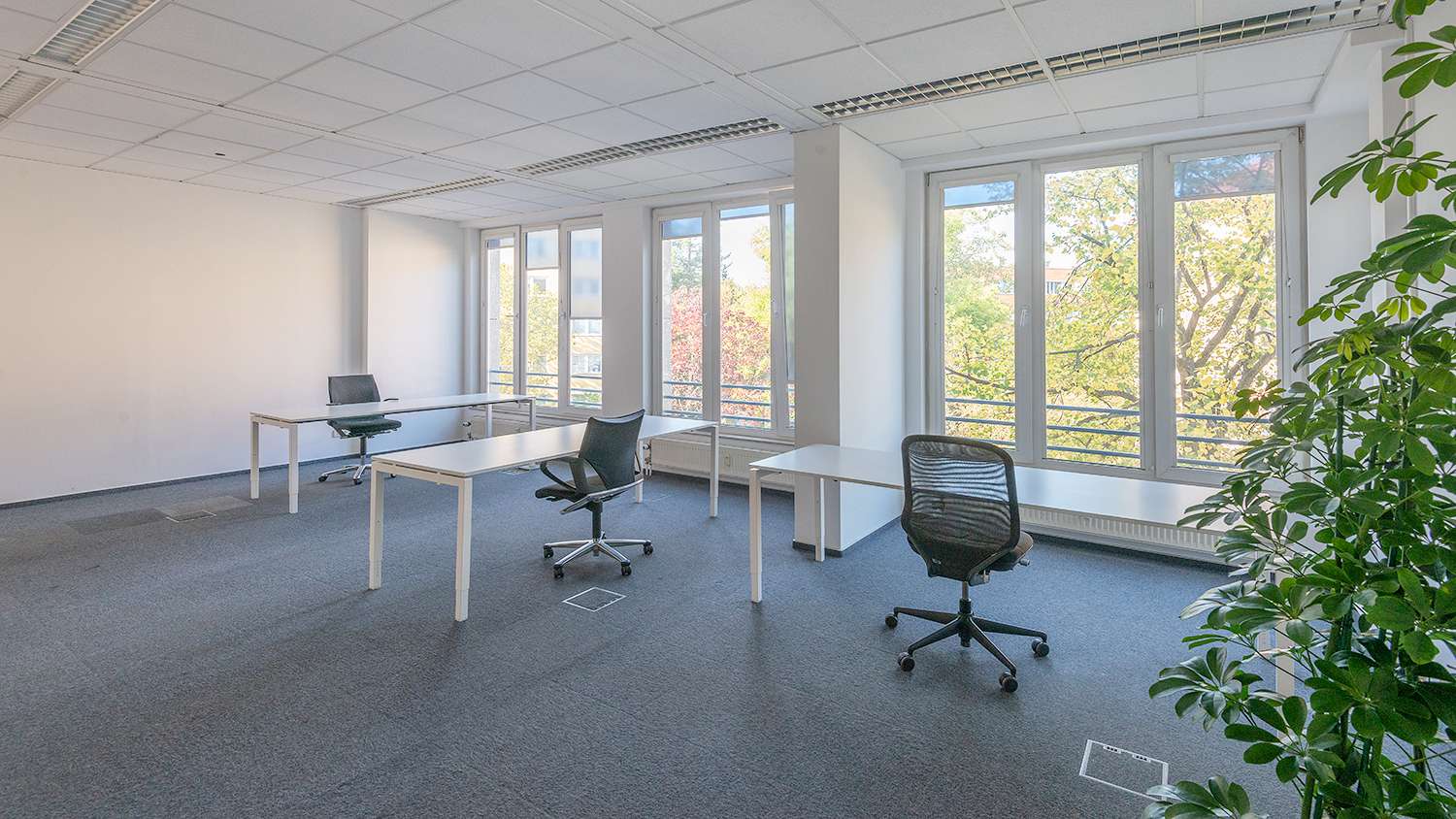 Thumbnail-Büro in Berlin 5.120,00 € 159 m²