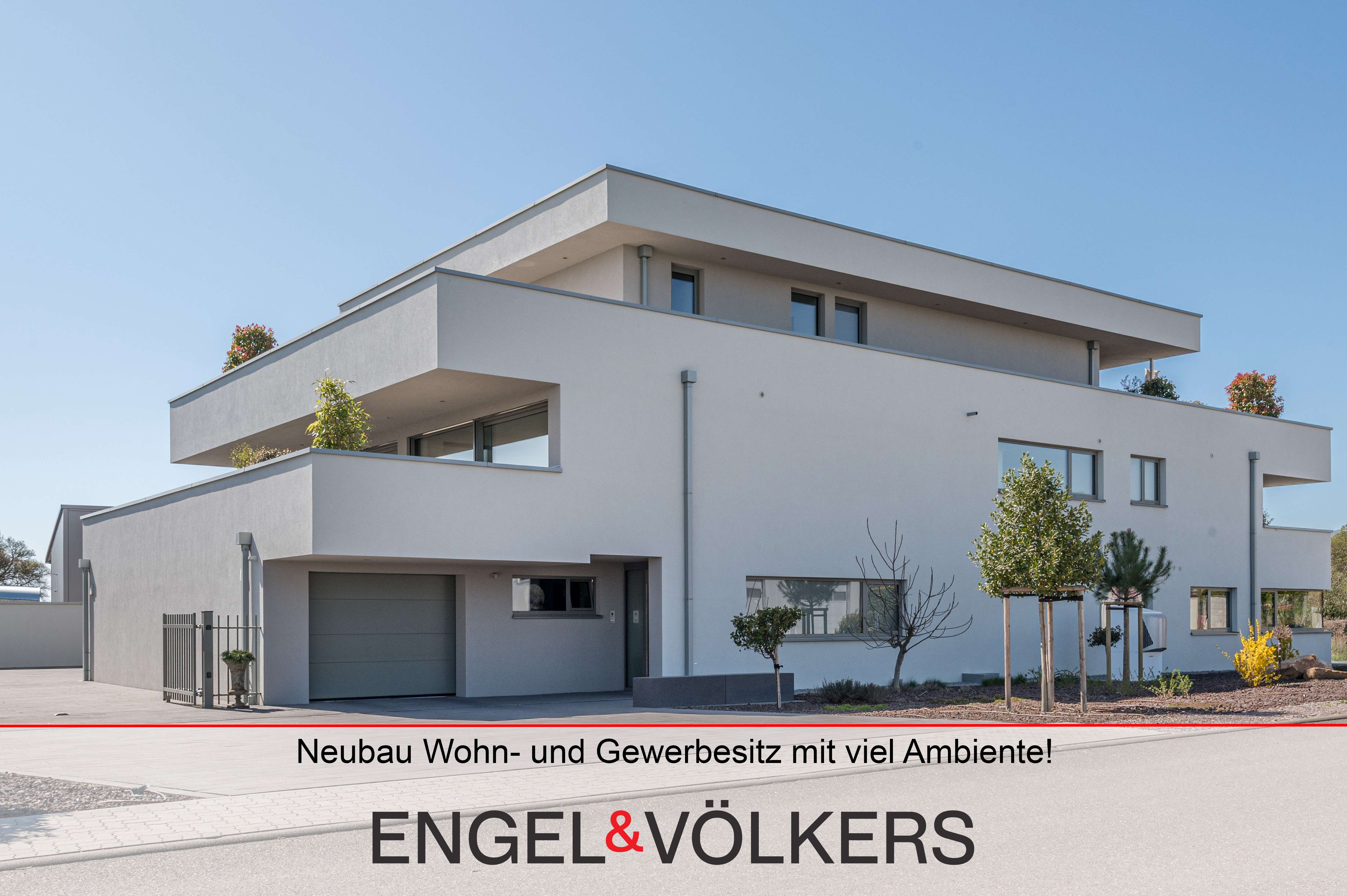Thumbnail-Haus zum Kaufen in Kirrweiler 2.950.000,00 € 371 m²