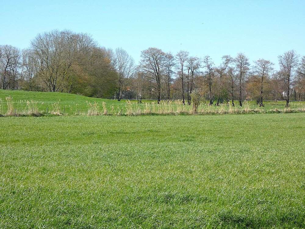Thumbnail-Haus zum Kaufen in Heinsberg 259.000,00 € 116 m²