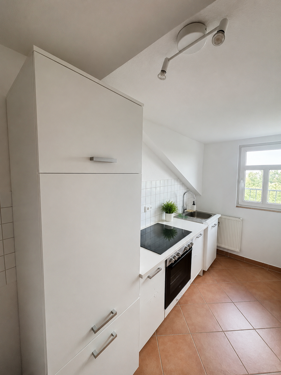 Thumbnail-Wohnung zum Mieten in Dresden 320,00 € 36.6 m²