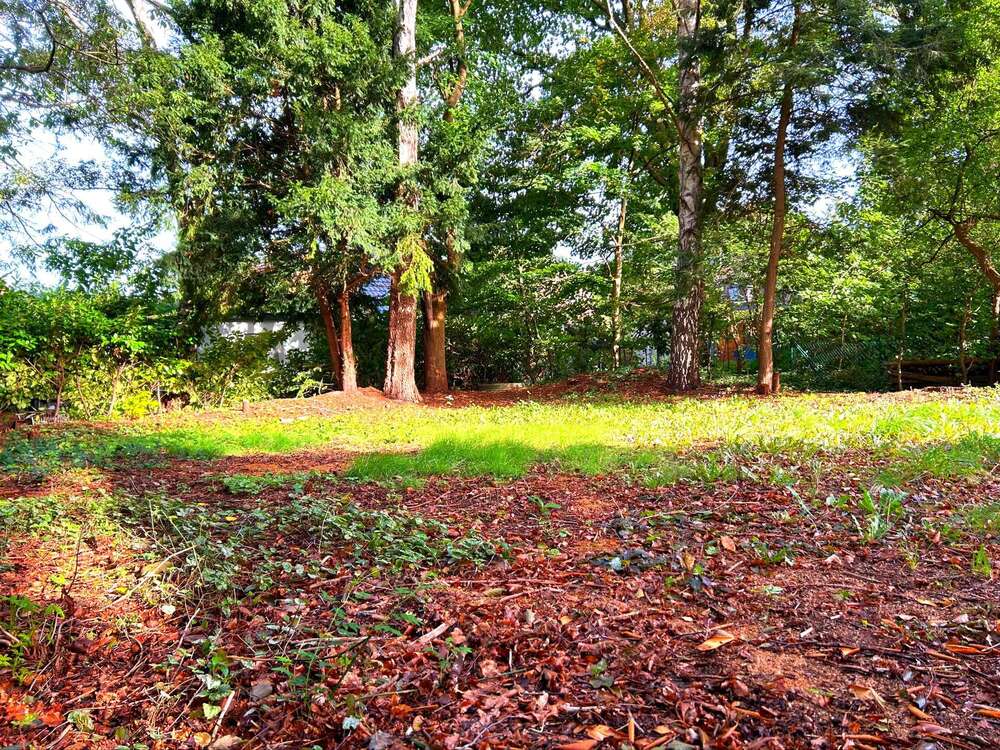 Thumbnail-Grundstück zu verkaufen in Hamburg 550.000,00 € 792 m²