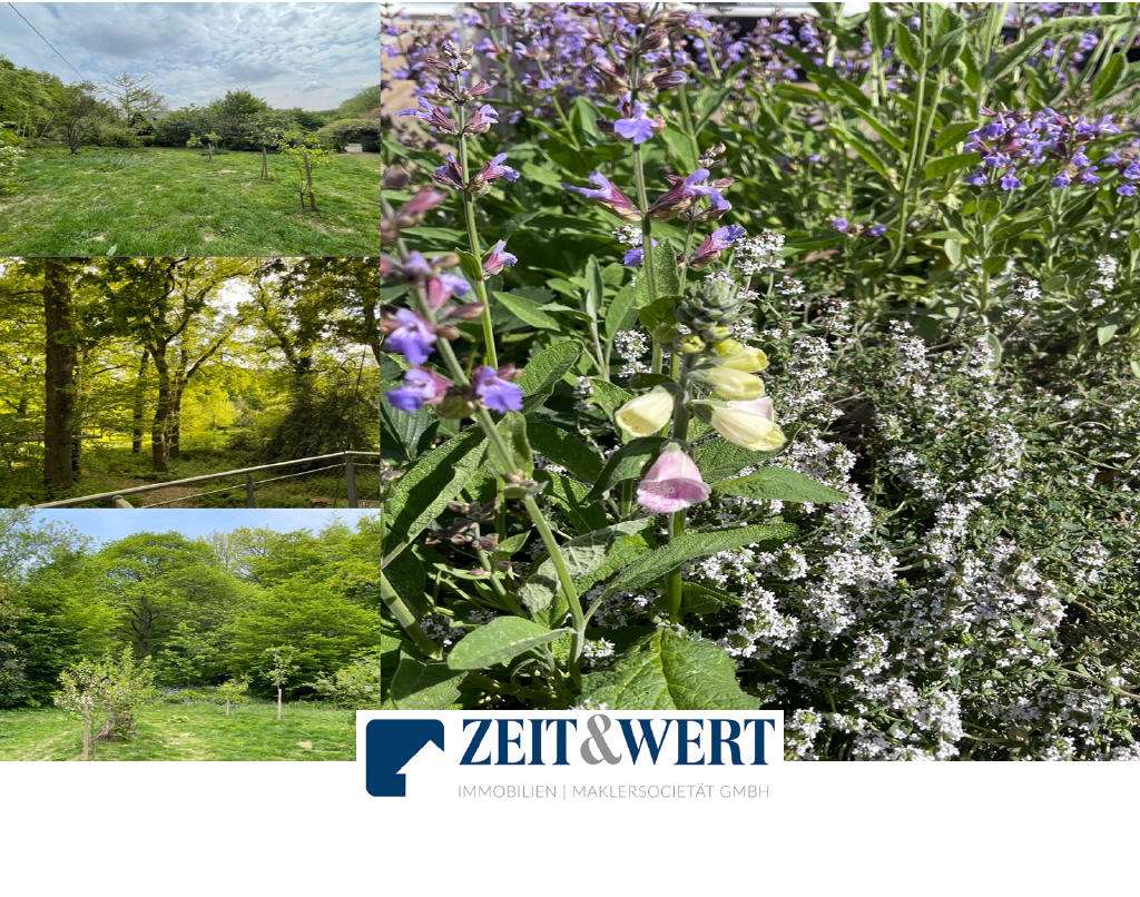 Thumbnail-Grundstück zu verkaufen in Kolverath 19.900,00 € 2850 m²