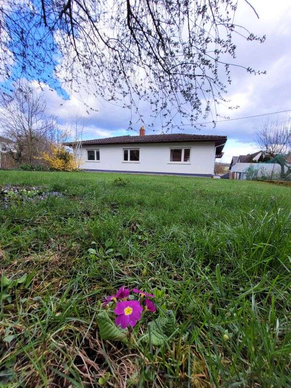 Thumbnail-Haus zum Mieten in Idstein-Wörsdorf 2.800,00 € 230 m²