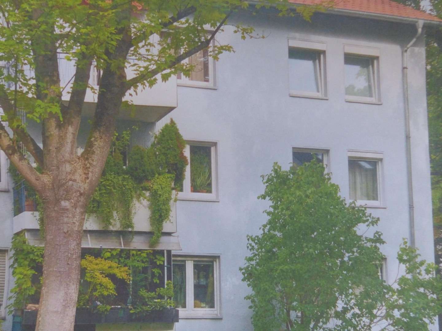 Thumbnail-Wohnung zum Kaufen in Frankfurt am Main 435.000,00 € 80 m²