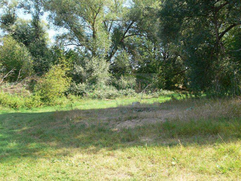 Thumbnail-Grundstück zu verkaufen in Zechin Buschdorf 25.000,00 € 1190 m²