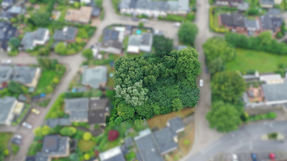 Thumbnail-Grundstück zu verkaufen in Buxtehude 346.900,00 € 765.7 m²