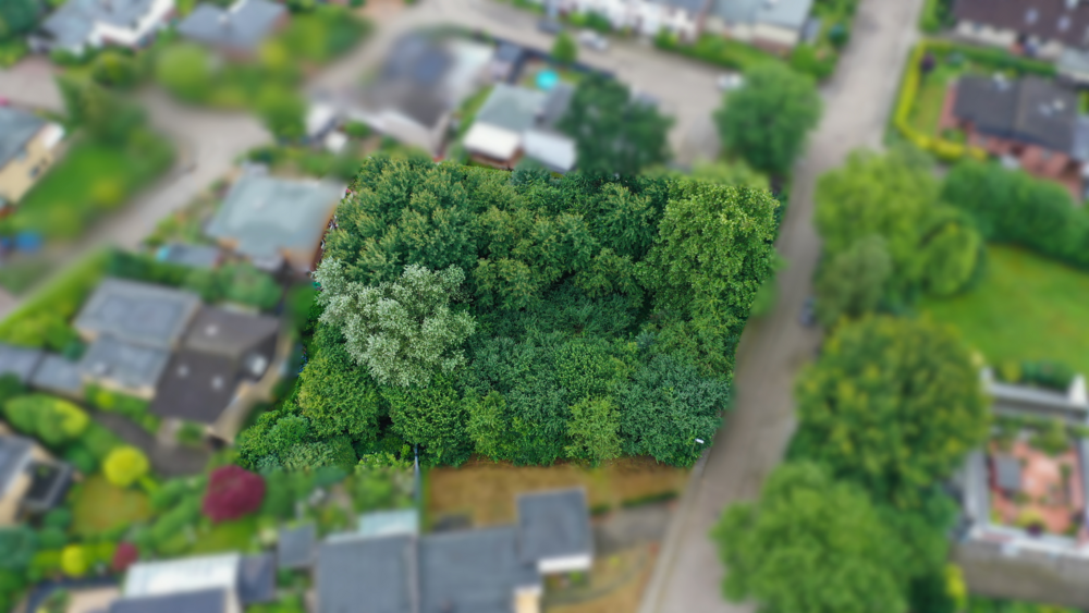 Thumbnail-Grundstück zu verkaufen in Buxtehude 724.800,00 € 1666 m²