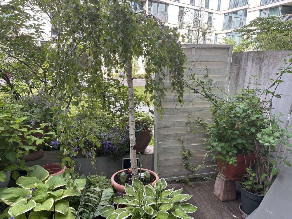 Thumbnail-Wohnung zum Mieten in Berlin 1.900,00 € 96 m²