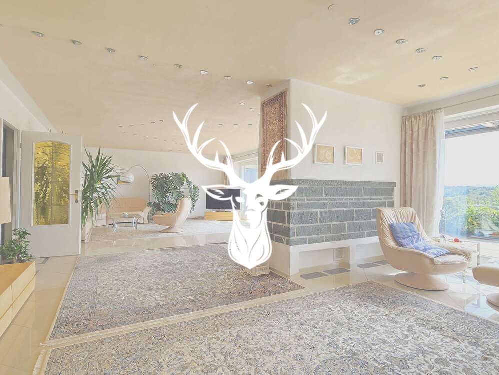 Thumbnail-Haus zum Kaufen in Waldshut-Tiengen 1.695.000,00 € 577 m²
