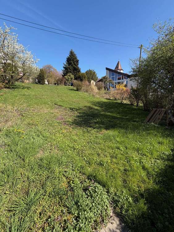 Thumbnail-Grundstück zu verkaufen in Lenningen 235.000,00 € 617 m²