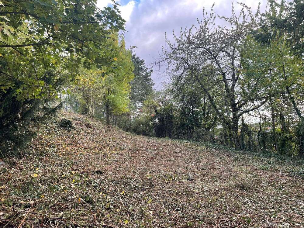 Thumbnail-Grundstück zu verkaufen in Altenmittlau 120.000,00 € 464 m²