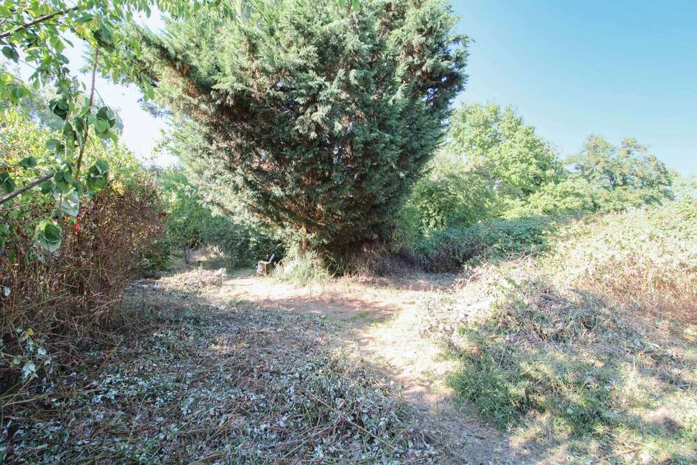 Thumbnail-Grundstück zu verkaufen in Leipzig 409.000,00 € 1742 m²