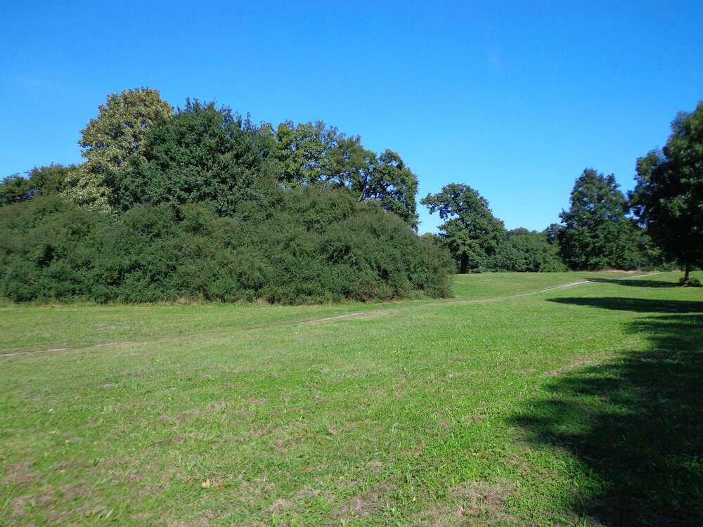 Thumbnail-Haus zum Kaufen in Kummerfeld 429.000,00 € 140 m²