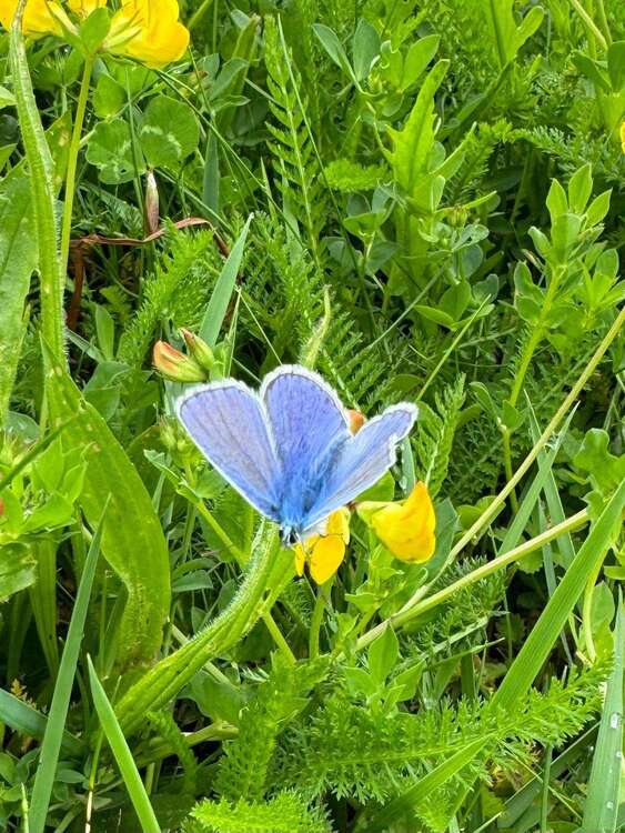 Thumbnail-Grundstück zu verkaufen in Königsbrunn 639.000,00 € 794 m²