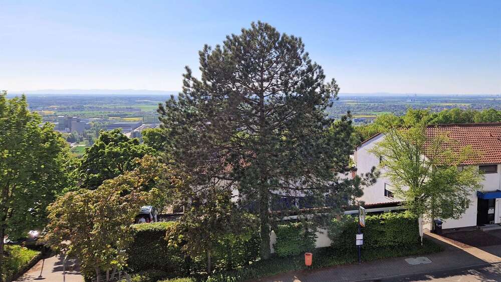 Thumbnail-Haus zum Kaufen in Heidelberg-Emmertsgrund 445.000,00 € 170 m²