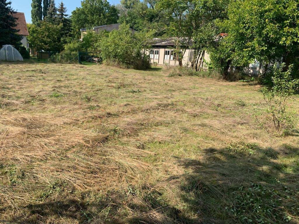 Thumbnail-Grundstück in Wandlitz OT Klosterfelde 199.000,00 € 1000 m²