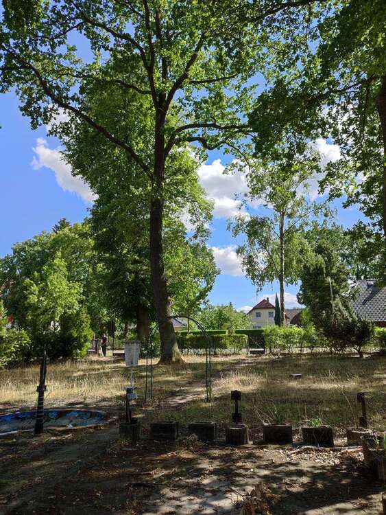 Thumbnail-Grundstück zu verkaufen in Falkensee 398.500,00 € 1053 m²