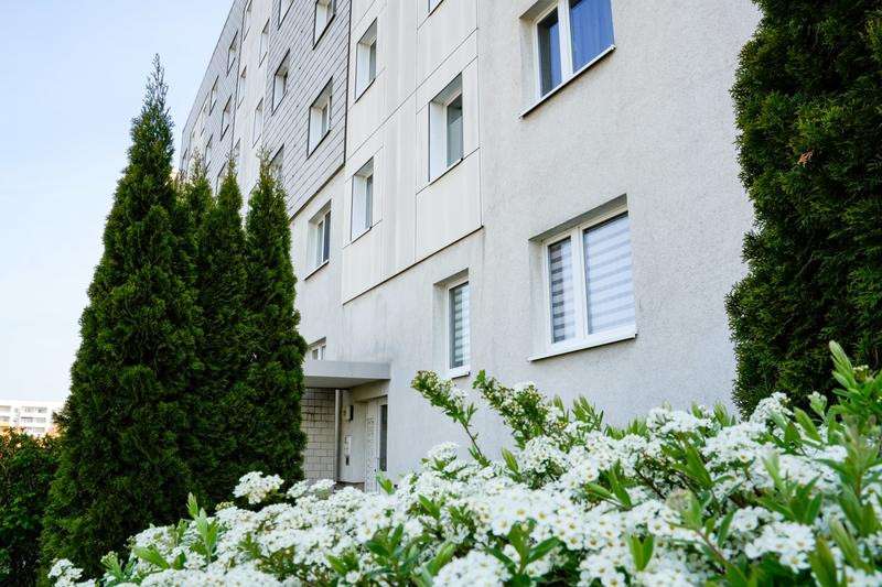 Thumbnail-Wohnung zum Mieten in Magdeburg 325,00 € 48.25 m²