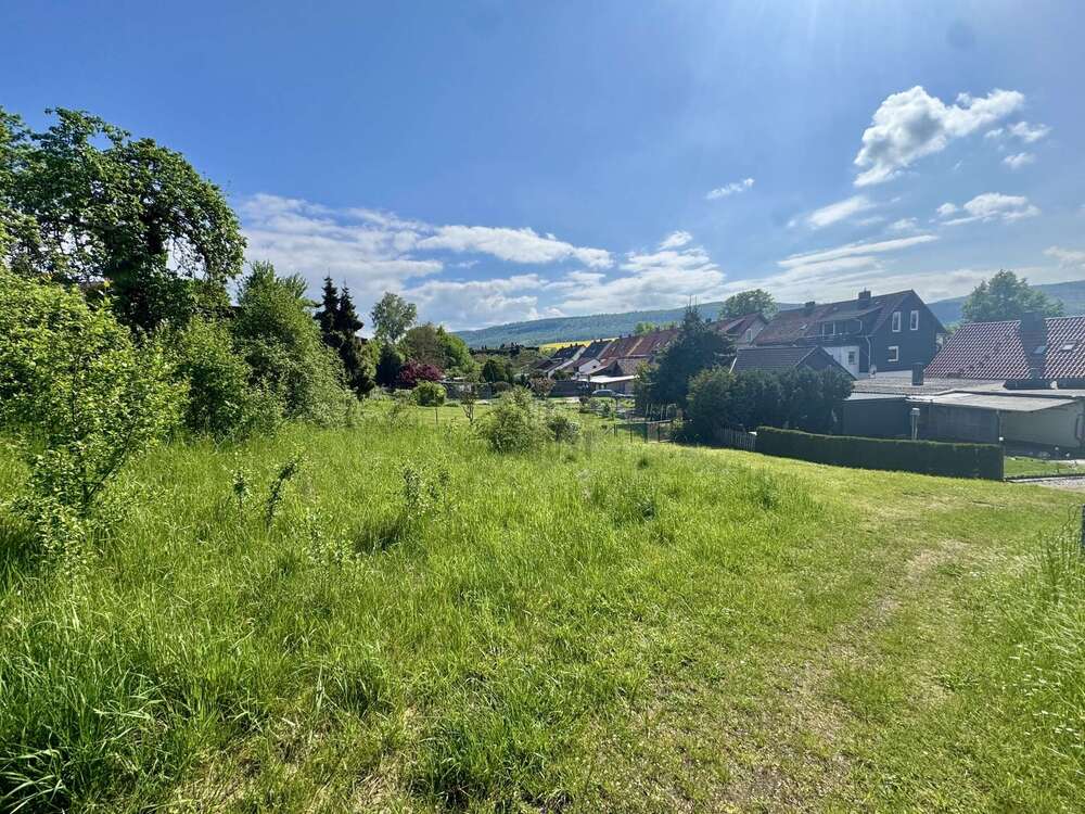Thumbnail-Grundstück zu verkaufen in Freden (Leine) 35.000,00 € 560 m²