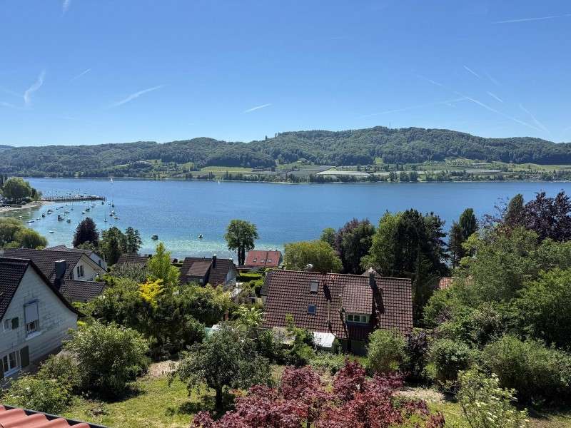 Thumbnail-Haus zum Kaufen in Öhningen-Wangen 2.400.000,00 € 336.1 m²