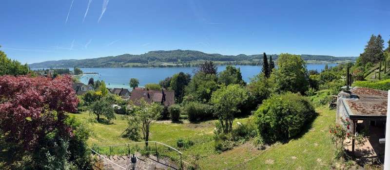 Thumbnail-Haus zum Kaufen in Öhningen-Wangen 2.400.000,00 € 336.1 m²