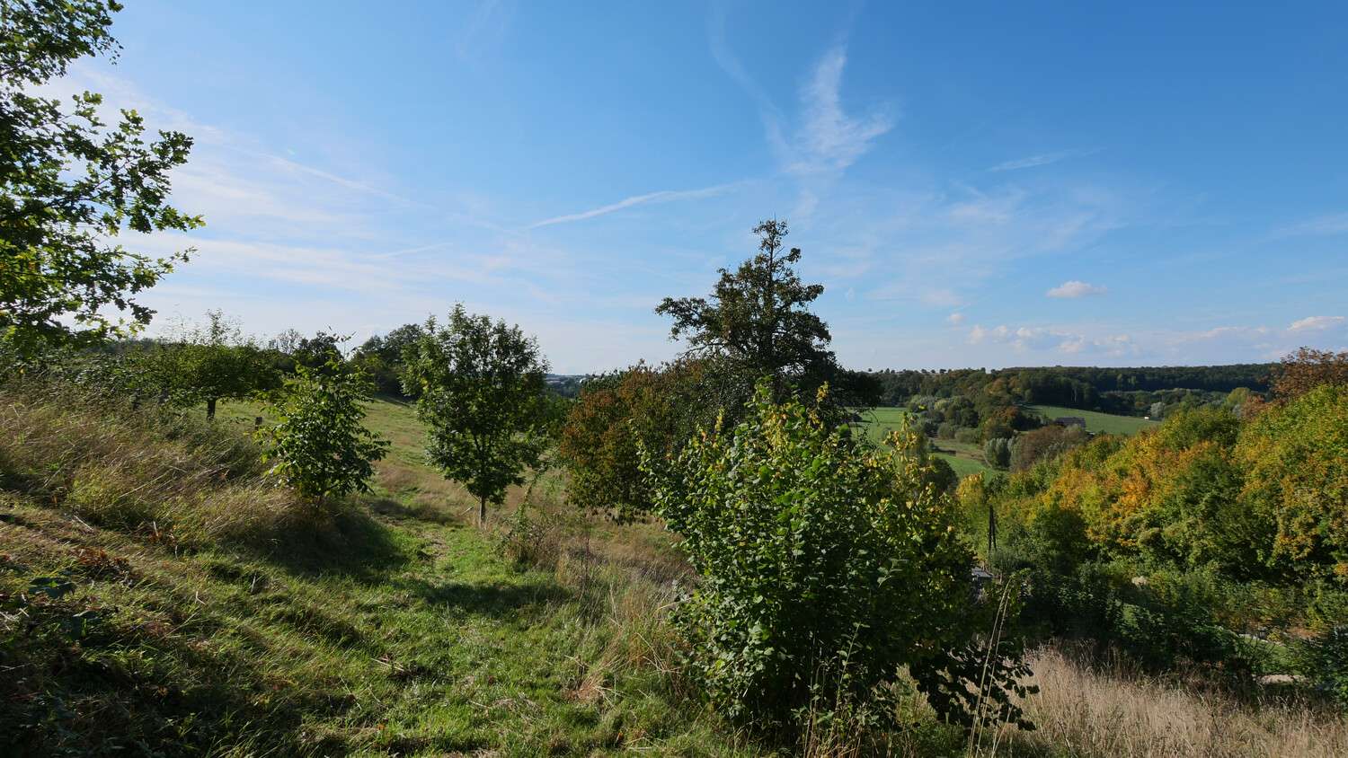 Thumbnail-Grundstück zu verkaufen in Büren 70.000,00 € 979.13 m²