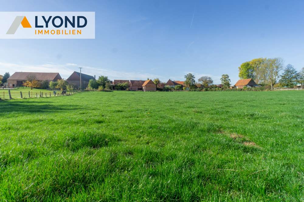 Thumbnail-Haus zum Kaufen in Diemelstadt Dehausen 330.000,00 € 342.5 m²