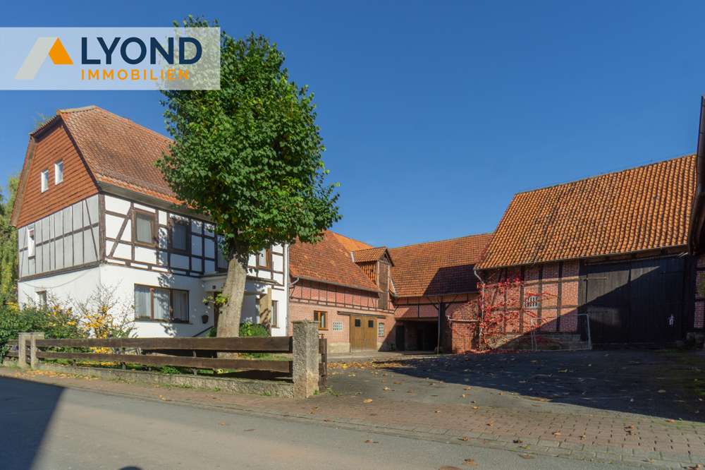 Thumbnail-Haus zum Kaufen in Diemelstadt Dehausen 310.000,00 € 342.5 m²