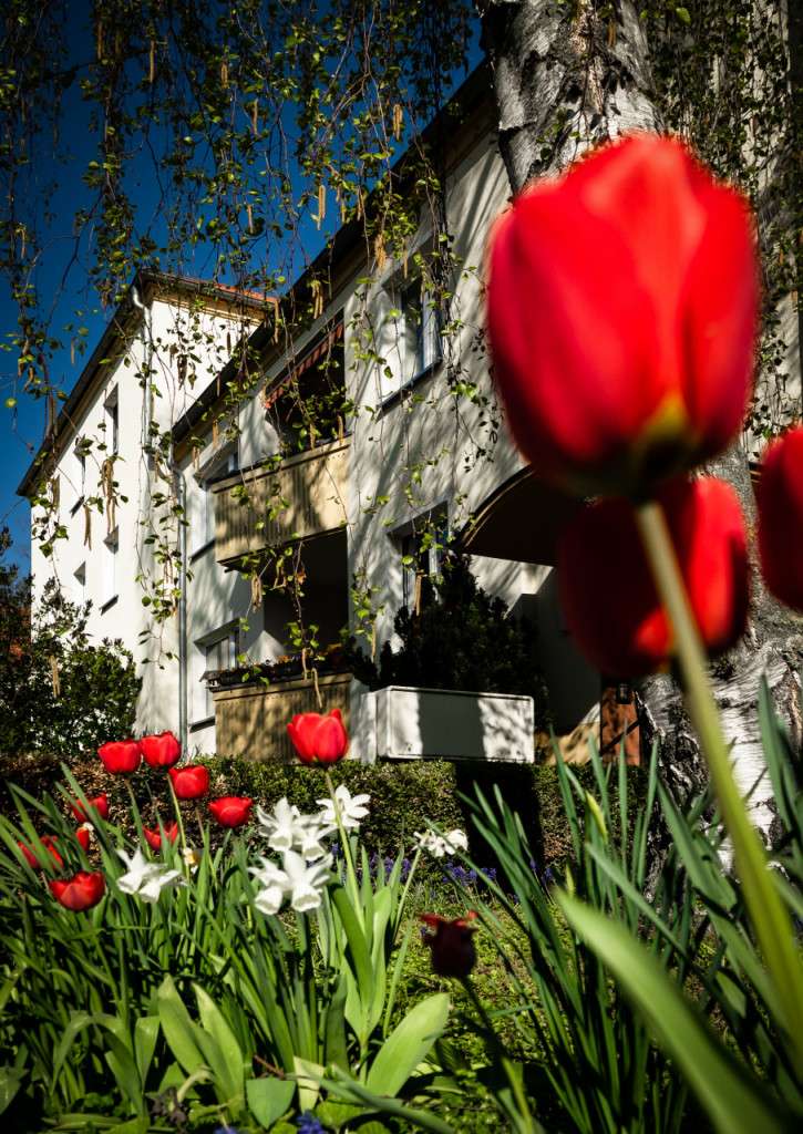 Thumbnail-Wohnung zum Mieten in Halle (Saale) 510,00 € 63 m²