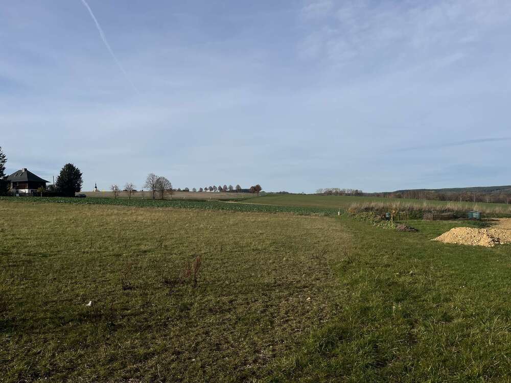 Thumbnail-Grundstück zu verkaufen in Elsterberg 75.400,00 € 1004 m²