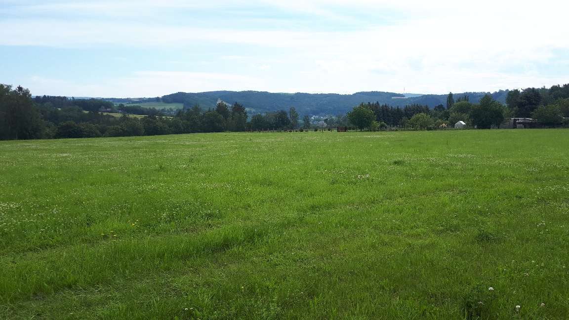 Thumbnail-Grundstück zu verkaufen in Elsterberg 75.400,00 € 1004 m²