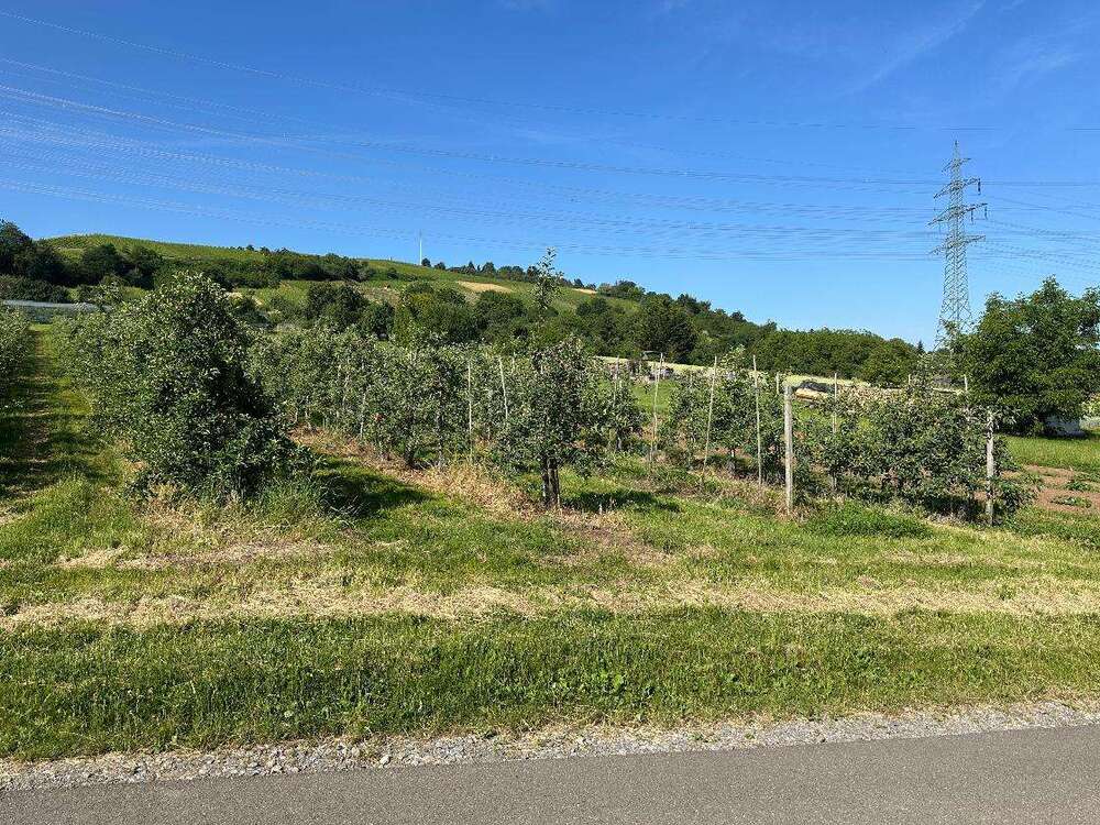 Thumbnail-Wohnung zum Kaufen in Weinstadt-Beutelsbach 379.000,00 € 90 m²