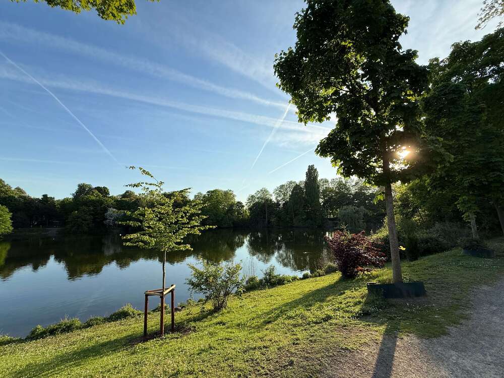 Thumbnail-Wohnung zum Kaufen in Düsseldorf 349.000,00 € 77 m²