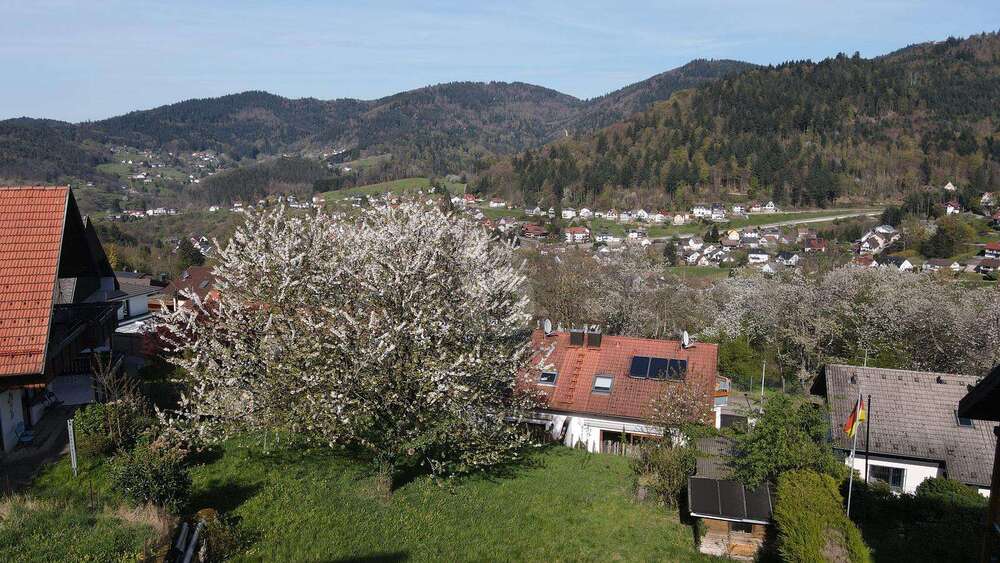 Thumbnail-Grundstück zu verkaufen in Bühlertal 235.000,00 € 589 m²