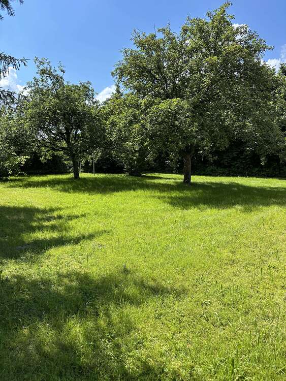 Thumbnail-Grundstück zu verkaufen in Pastetten Reithofen 790.000,00 € 1327 m²