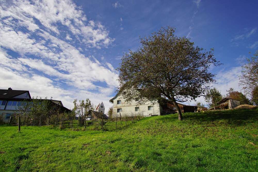 Thumbnail-Haus zum Kaufen in Herdwangen-Schönach 239.000,00 € 100 m²