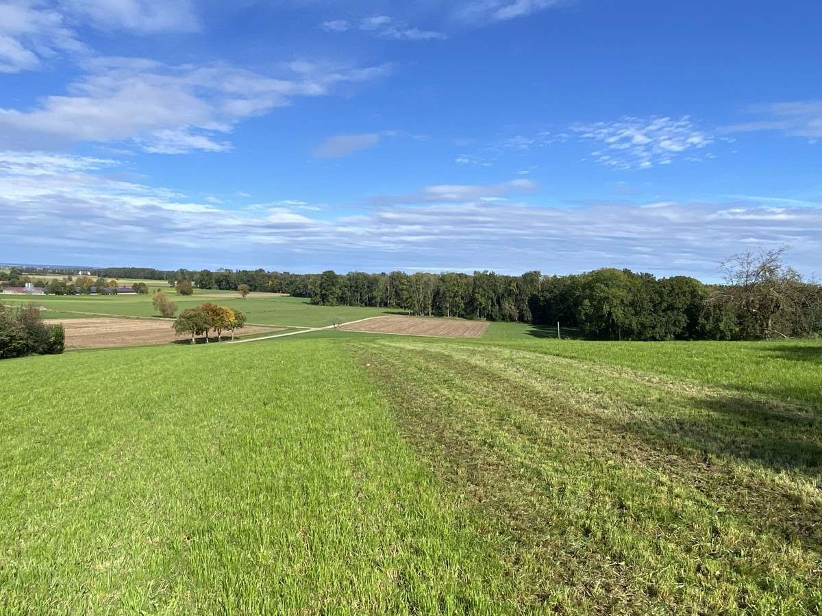 Thumbnail-Grundstück zu verkaufen in Neu-Ulm 750.000,00 € 4821 m²