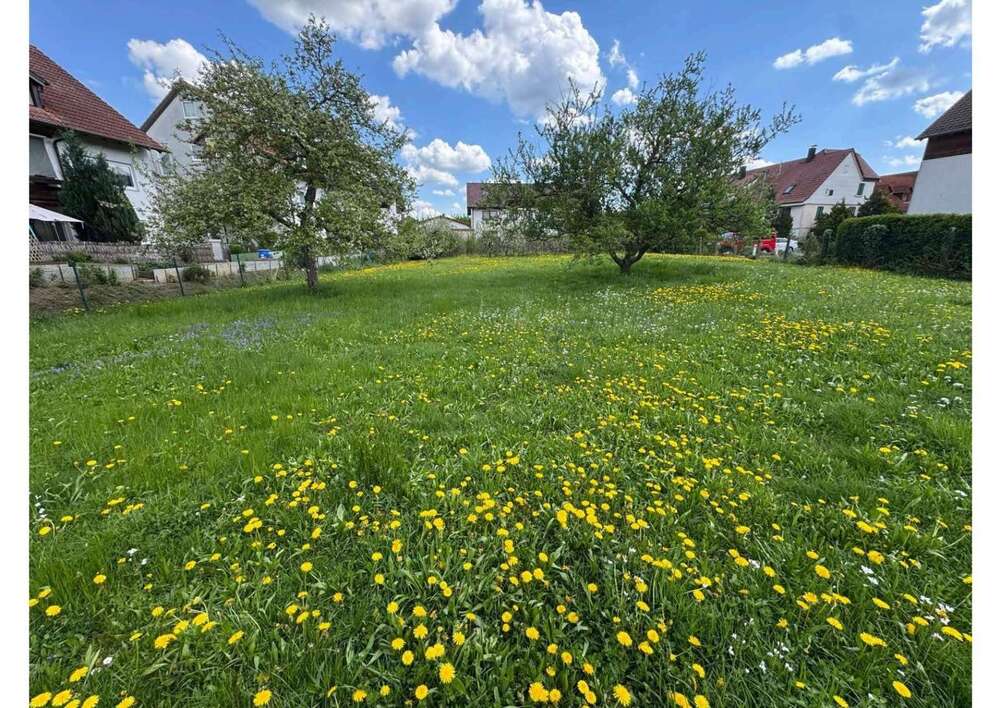 Thumbnail-Haus zum Kaufen in Bad Boll 477.629,00 € 113 m²