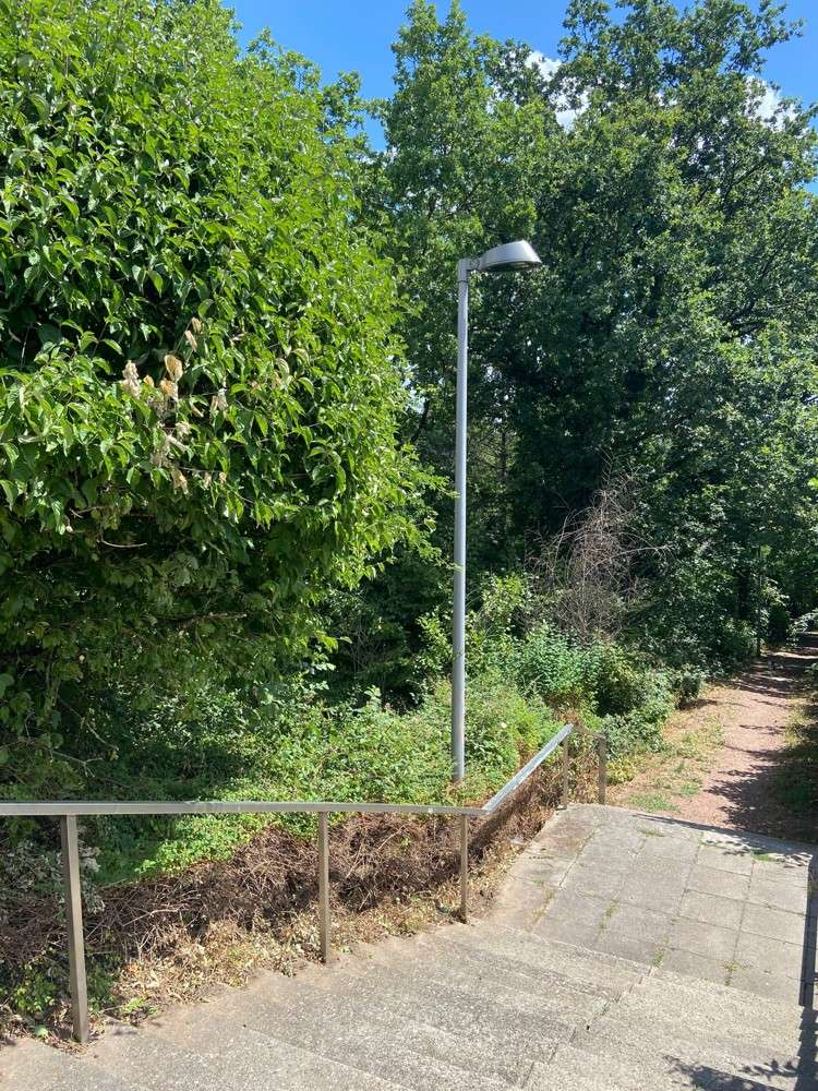 Thumbnail-Grundstück zu verkaufen in Saarbrücken 390.000,00 € 780 m²