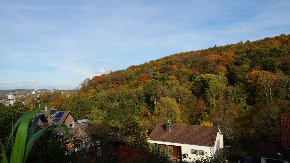 Thumbnail-Grundstück zu verkaufen in Wuppertal 130.000,00 € 438 m²