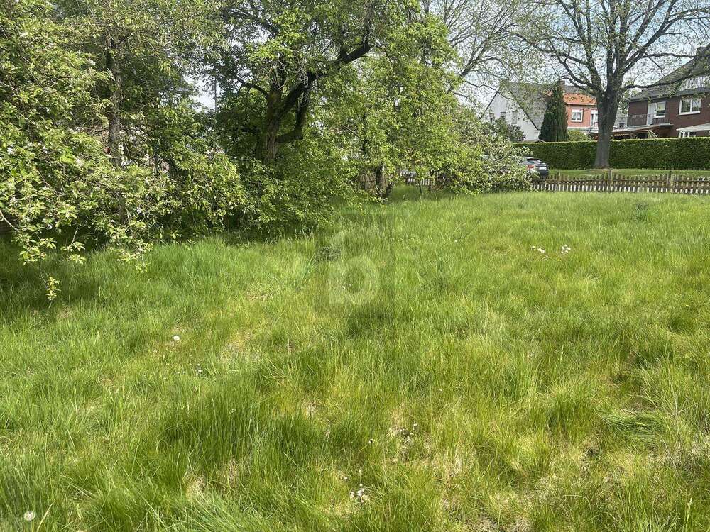 Thumbnail-Grundstück zu verkaufen in Metelen 68.000,00 € 426 m²