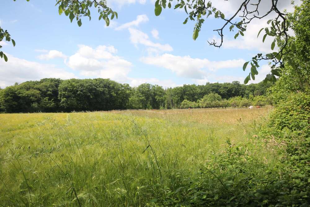 Thumbnail-Grundstück zu verkaufen in Kelkheim 1.490.000,00 € 1297 m²