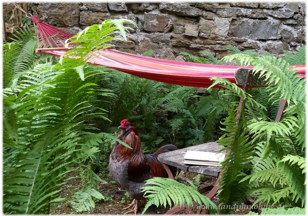 Thumbnail-Haus zum Kaufen in Weiltingen 298.000,00 € 205 m²